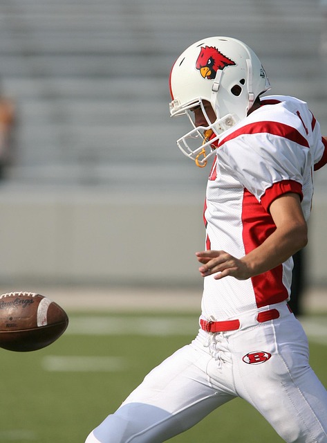 不仅丰富了 不仅丰富了